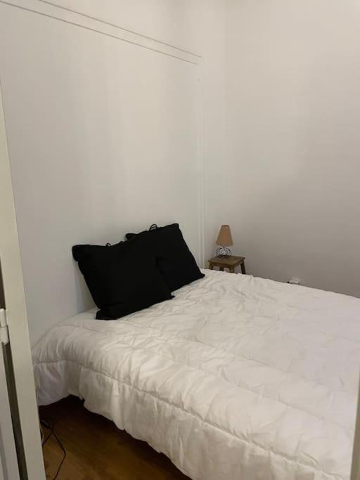 Apartment ~rosa Bonheur~hyper Centre Blois