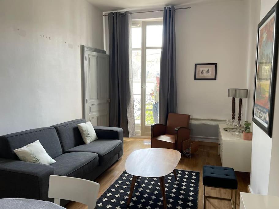 ~rosa Bonheur~hyper Centre Apartment *